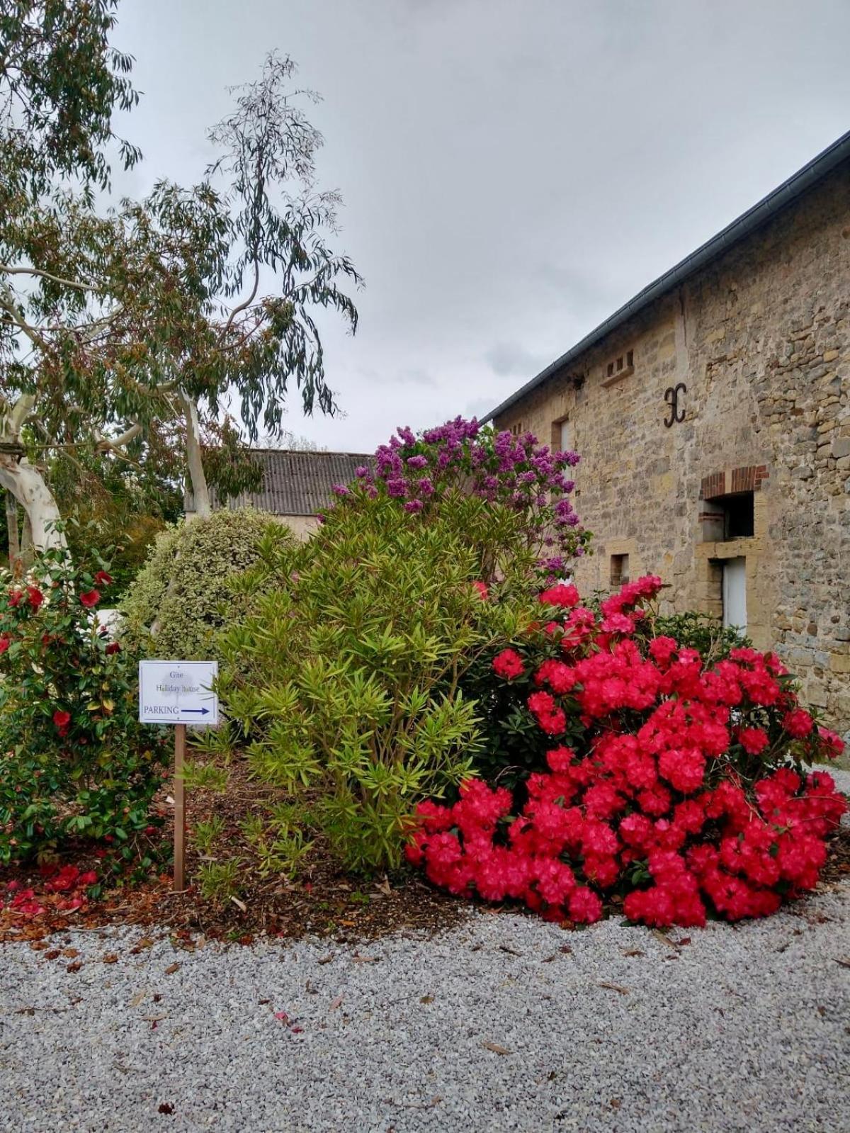 Maison 2 Chambres Avec Espace Exterieur Prive Et Petit-Dejeuner En Supplement - Fait-Maison Et Produits Locaux Vierville-sur-Mer Exterior foto